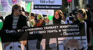 Участники экологического марша на Приморской набережной Сочи, 7 ноября 2010 года. Фото "Кавказского узла"