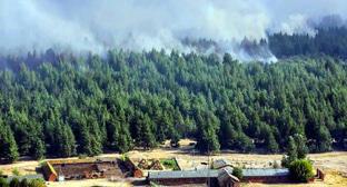 Пожар в Усть-Донецком районе Ростовской области 
Фото:  http://bloknot-rostov.ru/news/tysyacha-chelovek-pytaetsya-usmirit-kolossalnyy-pr-875141?sphrase_id=349344