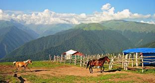 Село Камиловка, Закатала Фото Aliakbar2015 https://commons.wikimedia.org/wiki/Category:Zaqatala_Rayon#/media/File:Şamilovka,_Zaqatala.jpg
Село Камиловка, Закатала Фото Aliakbar2015 https://commons.wikimedia.org/wiki/Category:Zaqatala_Rayon#/media/File:Şamilovka,_Zaqatala.jpg