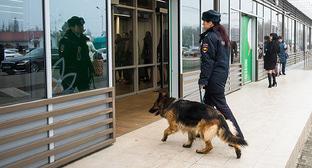 Кинолог с собакой. Фото Елены Синеок, Юга.ру Кинолог с собакой. Фото Елены Синеок, Юга.ру