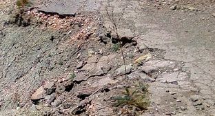 Разбитая дорога. Фото Нины Тумановой для "Кавказского узла" Разбитая дорога. Фото Нины Тумановой для "Кавказского узла"