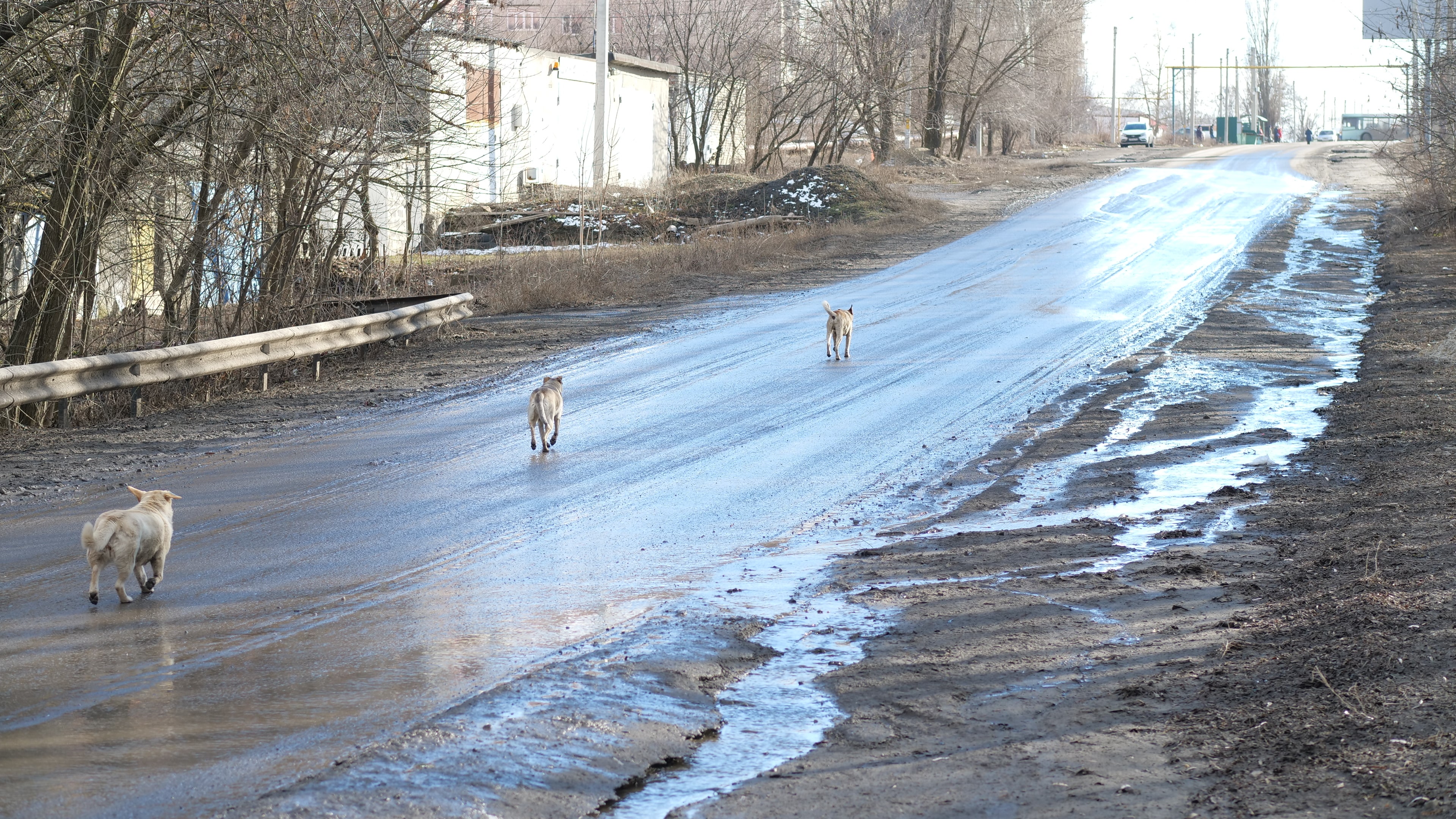 Погода в красном сулине на неделю