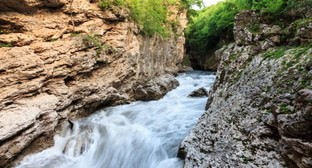 Река Белая, Адыгея. Фото Елена СИнеок, "Юга.ру" Река Белая, Адыгея. Фото Елена СИнеок, "Юга.ру"