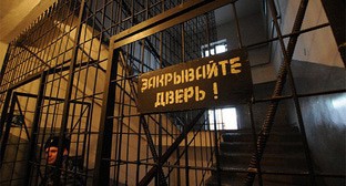 Колония. Фото Елены Синеок, Юга ру Колония. Фото Елены Синеок, Юга ру