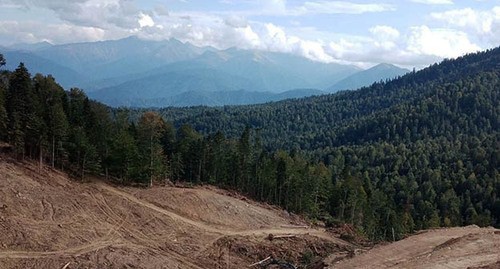 Лагонаки На Новогодние Праздники Лагонаки На Новогодние Праздники