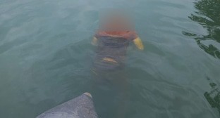 В городском парке Нового Афона обнаружено тело жителя Мурманска Дмитрия Ковалева Фото пресс-службы МЧС Абхазии https://www.mchsra.info/novosti/item/1931-v-novom-afone-v-prudu-gorodskogo-parka-obnaruzheno-telo-razyskivaemogo-s-15-sentyabrya-zhitelya-murmanska-kovaleva-dmitriya-aleksandrovicha-1985-goda-rozhdeniya