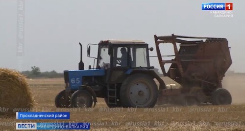 Русских колхоз: 1000 видео найдено
