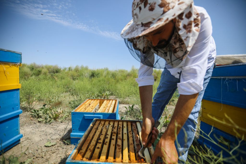 Планы на будущее Эльвина связаны не с журналистикой, а с пчеловодством. Фото: Али Казымов Планы на будущее Эльвина связаны не с журналистикой, а с пчеловодством. Фото: Али Казымов