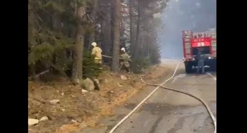 Сексапильная чемпионка IBF развлеклась в лесу со звездой фильмов для взрослых. Видео