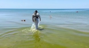 Водолаз у берега моря в Анапе. Кадр видео оперштаба Кубани https://t.me/opershtab23/13606