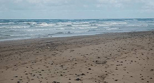 Пляж в Темрюкском районе. 20 февраля 2026 г. Фото: https://t.me/setisitolopata/2599