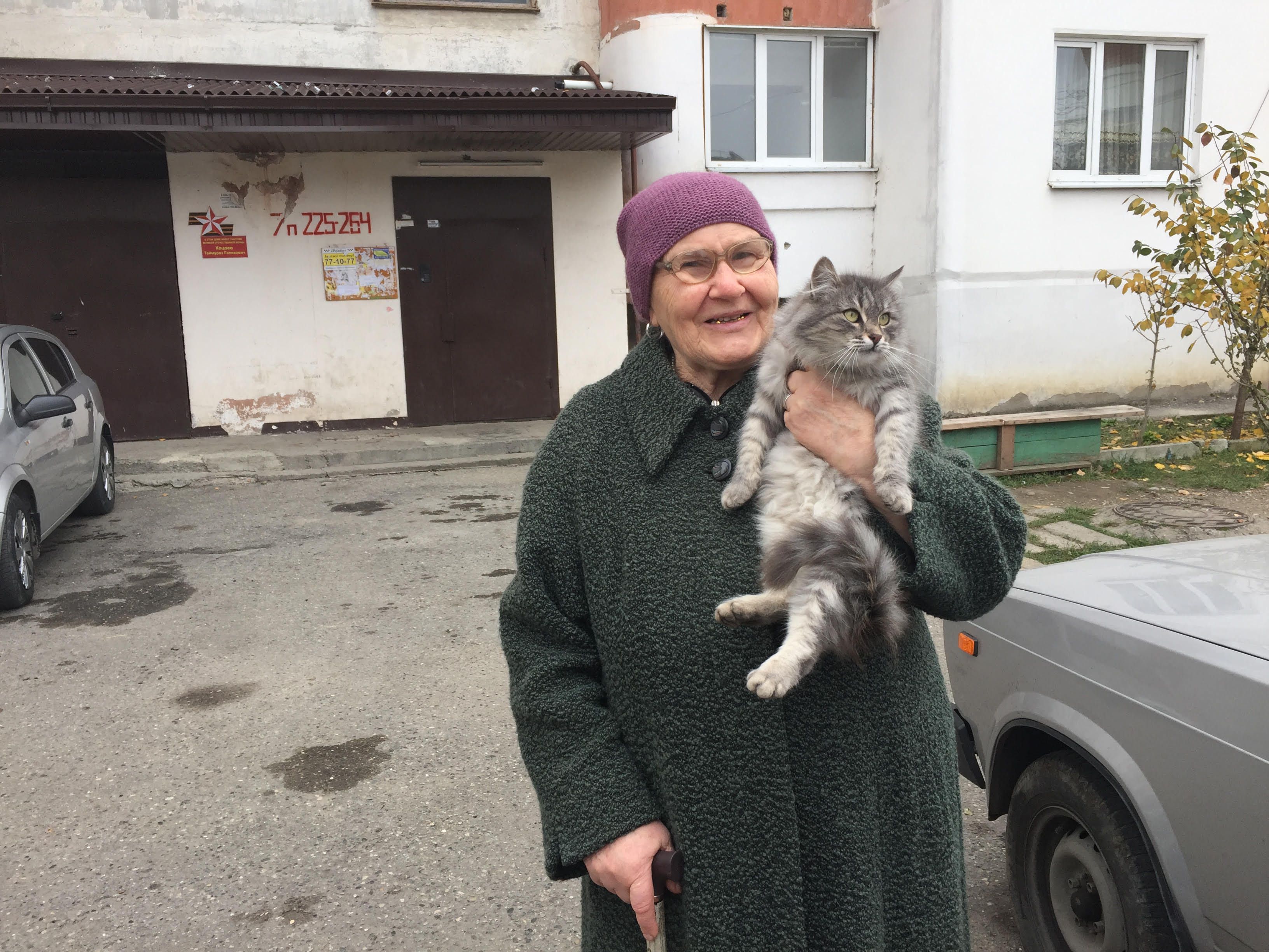 Кавказский Узел | Бездомные собаки, законы и сердобольные нальчане